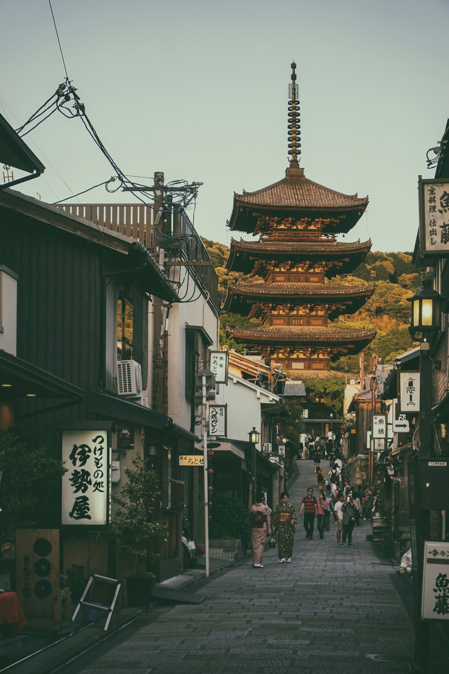 Japanese Peanuts Through the Lens of Tradition